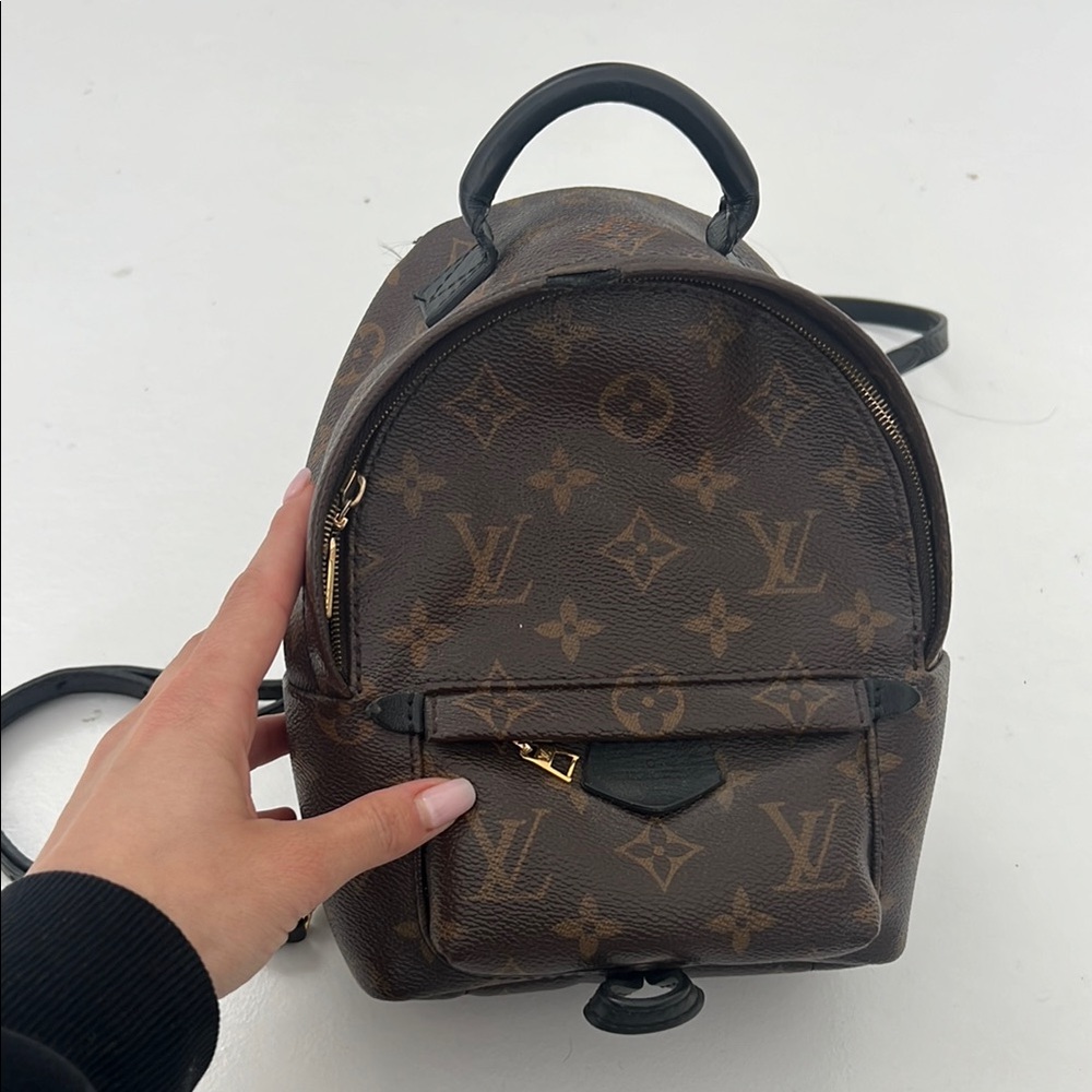 Louis Vuitton Palm Springs Mini Backpack Monogram